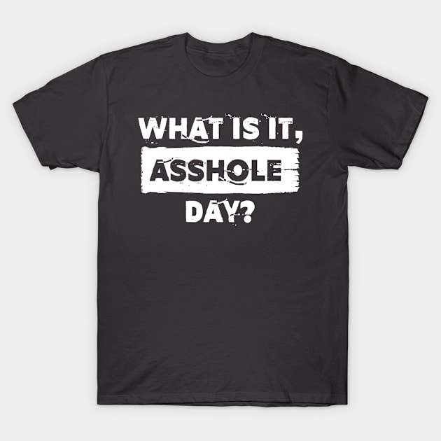 What is it, asshole day? T-Shirt by PlimPlom